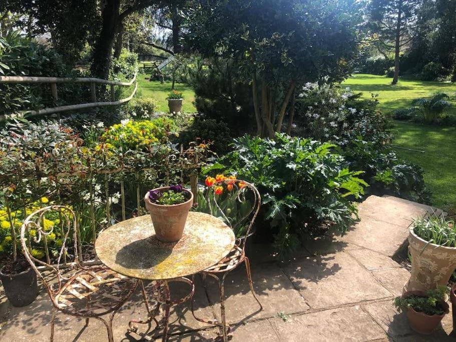 Escape To Ash House 18Th Century Manor In Somerset Martock Εξωτερικό φωτογραφία