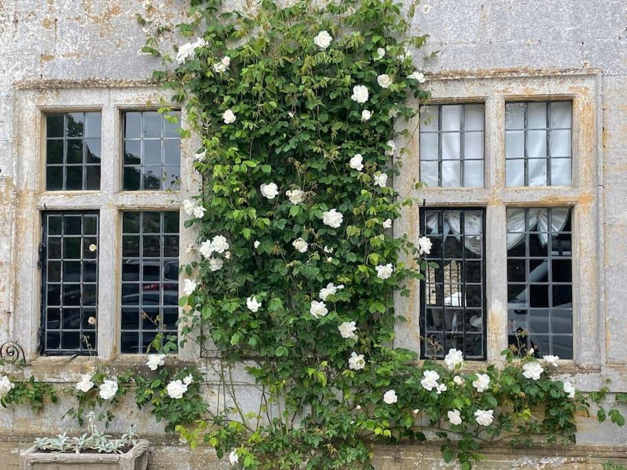 Escape To Ash House 18Th Century Manor In Somerset Martock Εξωτερικό φωτογραφία