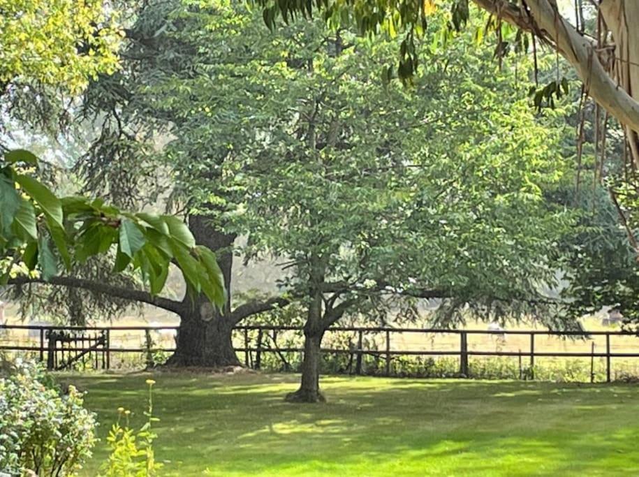 Escape To Ash House 18Th Century Manor In Somerset Martock Εξωτερικό φωτογραφία
