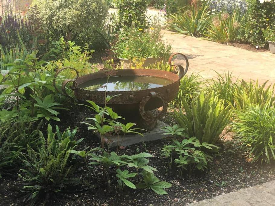 Escape To Ash House 18Th Century Manor In Somerset Martock Εξωτερικό φωτογραφία