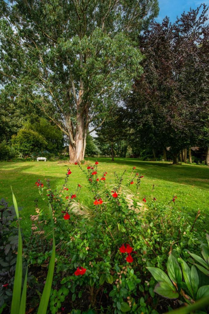 Escape To Ash House 18Th Century Manor In Somerset Martock Εξωτερικό φωτογραφία