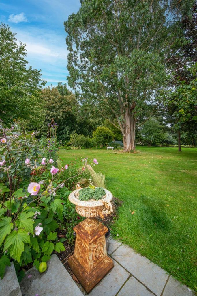 Escape To Ash House 18Th Century Manor In Somerset Martock Εξωτερικό φωτογραφία