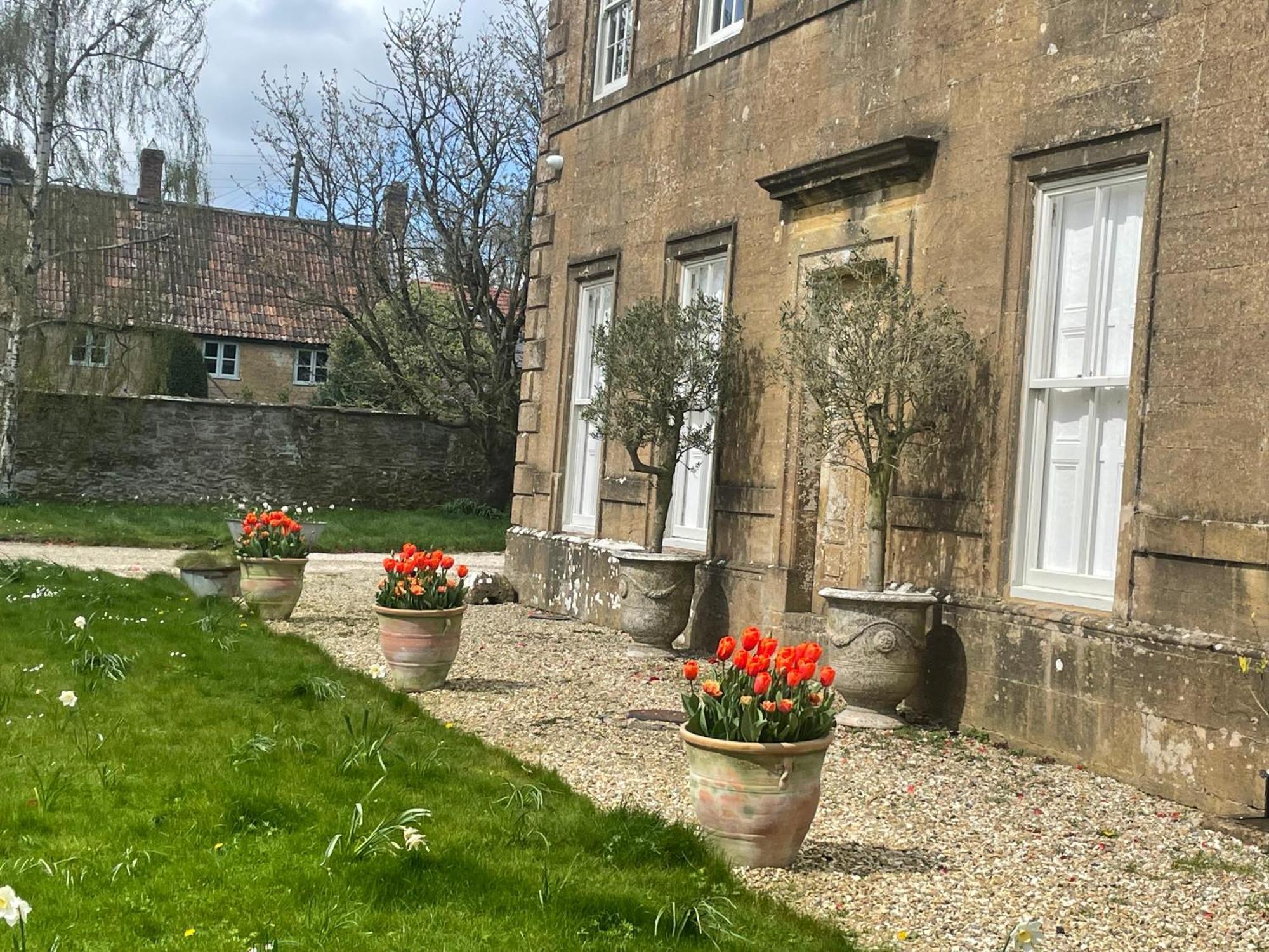 Escape To Ash House 18Th Century Manor In Somerset Martock Εξωτερικό φωτογραφία